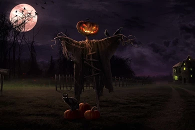 Halloween Horror Pumpkin HD Wallpapers.jpg