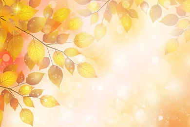 Autumn Backgrounds On Your Desktop Wallpapers And Images ...