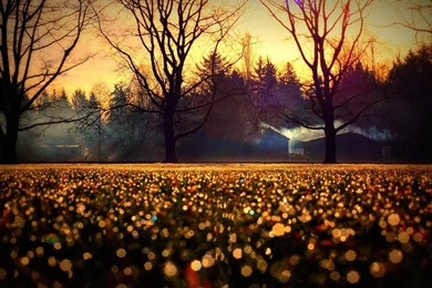 Autumn Backgrounds Wallpapers By JennyMari