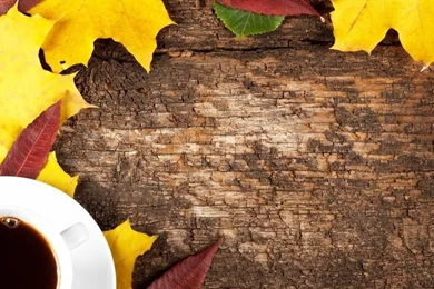 Autumn Backgrounds With A Cup Of Coffee Stock Photo