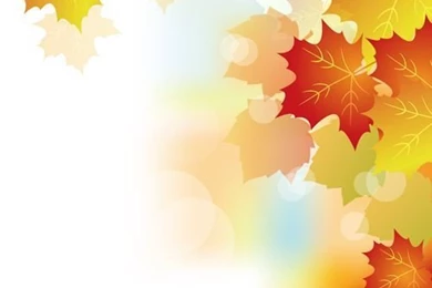 Autumn Beautiful Leaves Theme Backgrounds Vector 02   Vector ...