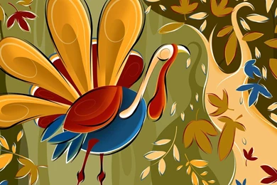Turkey Wallpapers   Vector Wallpapers