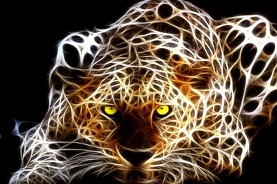 Blue Tiger Wallpapers