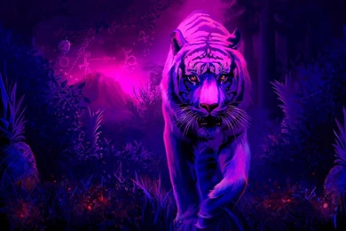 Tiger Computer Wallpapers, Desktop Backgrounds