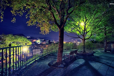 Park With The View Of The Night City Wallpapers Photography ...
