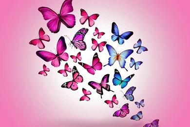 Download Wallpapers 3840x2160 Butterfly, Drawing, Flying, Colorful ...