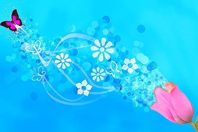 Desktop butterfly photos free wallpaper.jpg