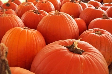 Pumpkin Wallpapers 01 By XXBekaXx On DeviantArt