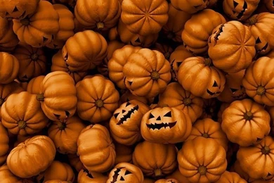 iPad Halloween Pumpkin Wallpapers