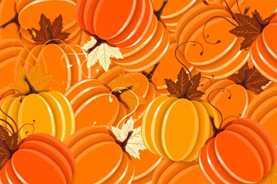 Pumpkin Wallpapers   Page 3