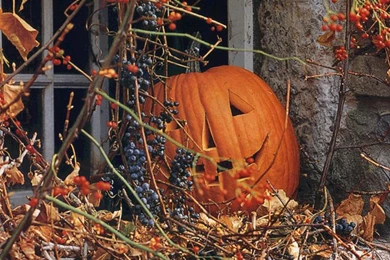 Halloween Pumpkin Wallpapers   Crazy Frankenstein