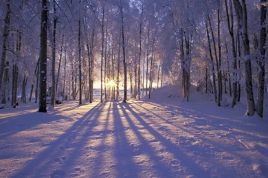 Winter Wallpapers HD Download