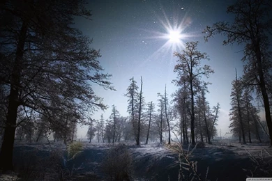 Magic Winter HD Desktop Wallpapers : High Definition : Fullscreen ...