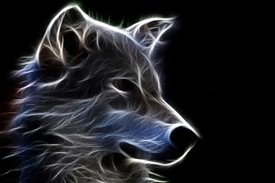Wolf Computer Wallpapers, Desktop Backgrounds