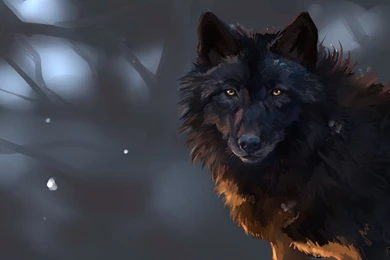 Wolf Computer Wallpapers, Desktop Backgrounds