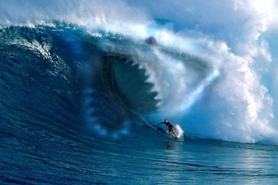 Shark Wallpapers 1440x900 Wallpapers,shark 1440x900 Wallpapers ...