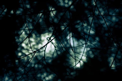 Dark Wallpapers Hd 113636