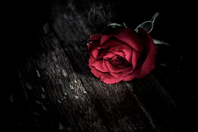 Dark Love Pictures   Wallpapers HD Base