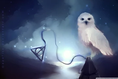 White Owl Painting HD Desktop Wallpapers : Widescreen : High ...