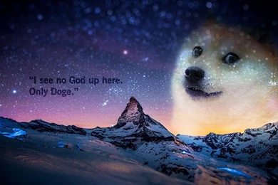 Doge Wallpapers Meme Wallpapers