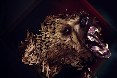 Grizzly Bear Wallpapers   Digital Art Wallpapers