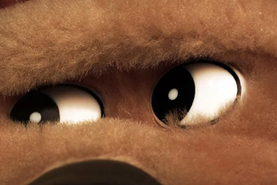 25+ Romantic Teddy Bear Wallpapers