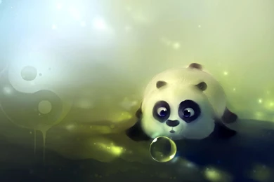 Cute Panda Backgrounds