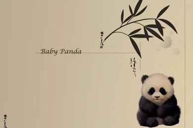 Baby Panda Wallpapers   Pandas Wallpapers (631180)   Fanpop