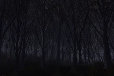 Haunted Forest Wallpapers
