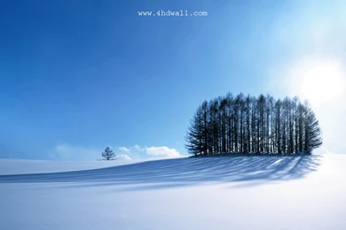 Wallpapers Of Computer