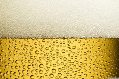 Beer HD Desktop Wallpapers : High Definition : Fullscreen : Mobile