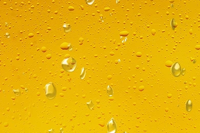 Download Free Mobile Wallpapers   Beer Wallpapers