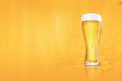 Beer And Pretzels Wallpapers   Photography Wallpapers