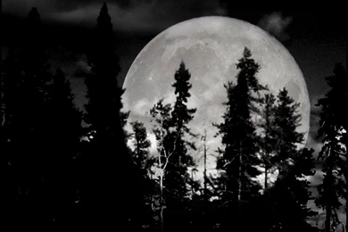 Moon, Wallpapers Metal Nature: Heavy Metal Wallpapers, Pictures ...
