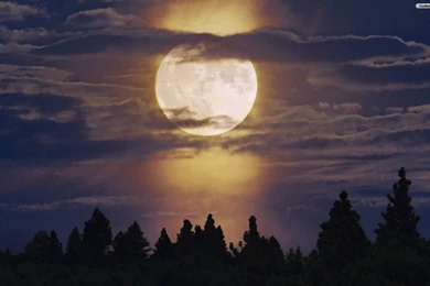 YouWall   Full Moon Wallpapers   Wallpaper,wallpapers,free ...