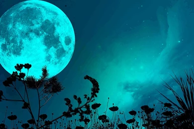Blue Moon Wallpapers Hd Free.jpg
