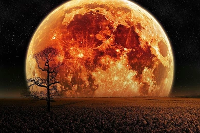 Blood Moon Wallpapers