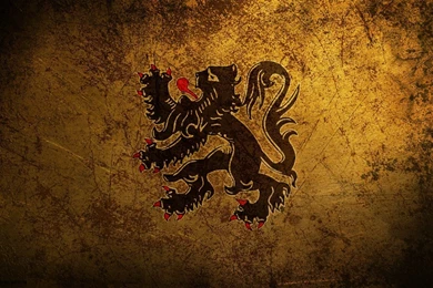 Hd Lion Wallpapers GRS12