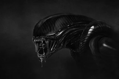 3D And Abstract Ultra HD Wallpapers   Ultra High Definition ...