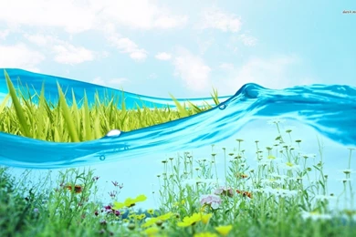 Field Behind Water Wallpapers
