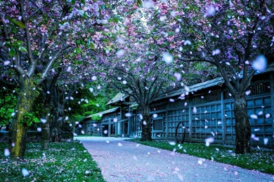 Desktop Wallpapers 223   Wallpapers Six