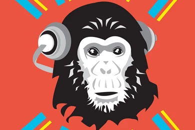 Crazy Chimp Backgrounds 2 By Jezzy Fezzy On DeviantArt