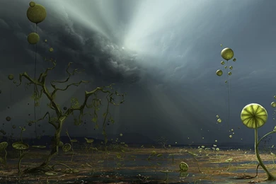 Colos Of The Storm Wallpapers 23053   Desktop Wallpapers   System ...