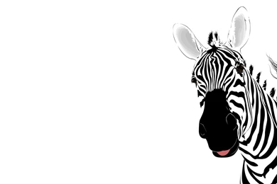 Zebra animal template backgrounds wallpapers.jpg