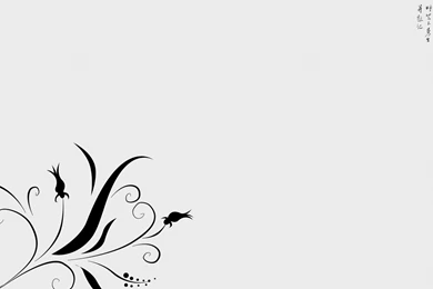 White Wallpapers Abstract