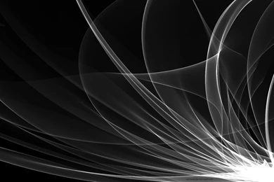 Black White Favourites By Madizzlee On DeviantArt