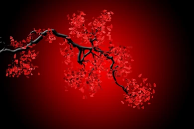 Beautiful Red HD Wallpapers DV6   Pretty Wallpapers HD