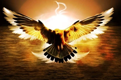 DeviantArt: More Like Flame Eagle (Wallpaper) By Hardii