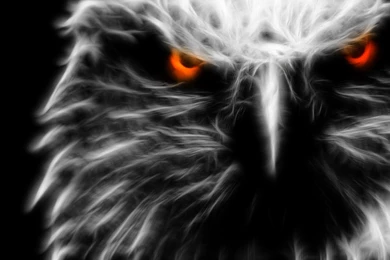 Ghost Eagle Wallpapers   Digital Art Wallpapers