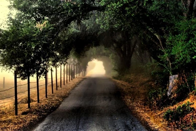 Nature Wallpapers Hd   Latest Wallpapers